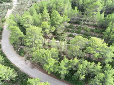 Poljoprivredno zemljište 4 146 m², Prigradica, pogled na more - 15