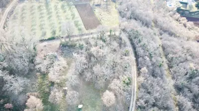 Poreč, surrounding area, plot with panoramic sea views - 2