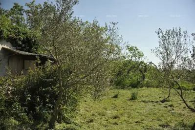 LOBORIKA - Building and agricultural land - 3