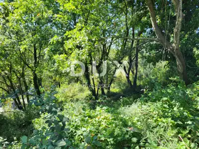 Građevinsko zemljište 1.546 m², Grožnjan - pogled na Mirnu i more - 8