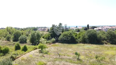 Baugrundstück 509 m², Poreč - Meerblick