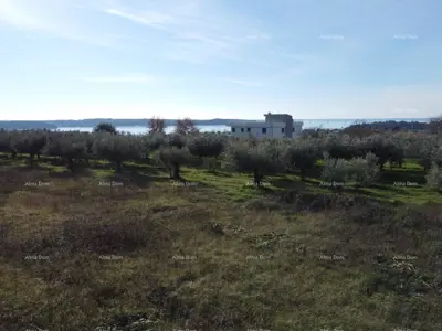 Stan 76 m², Novigrad - krovna terasa 70 m² - 10
