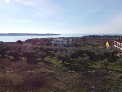 Stan 76 m², Novigrad - krovna terasa 70 m² - 8