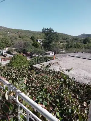 Haus 86 m², Mitlo - zur Renovierung auf einem Olivenhain - 9
