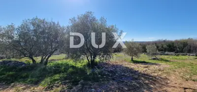 Building plot 2,969 m², Rabac - sea view - 21