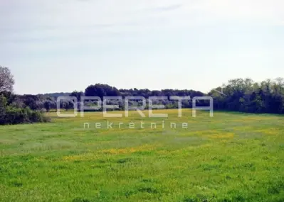 Građevinsko zemljište 16.000 m², Ližnjan - mirno okruženje - 4