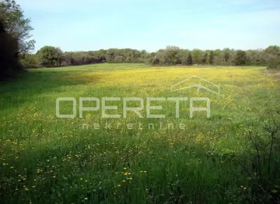 Građevinsko zemljište 16.000 m², Ližnjan - mirno okruženje - 2