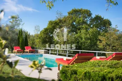 Vila 28 m², Momjan, okružena prirodom i bazen - 16