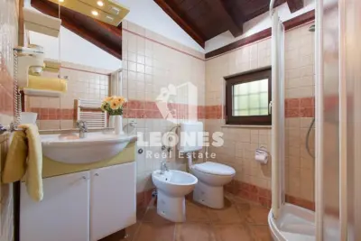 Vila 28 m², Momjan, okružena prirodom i bazen - 11