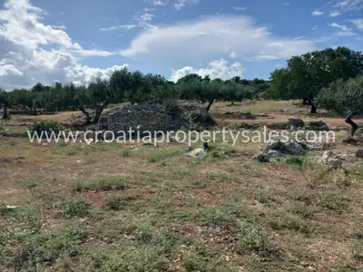 Agricultural land 13,860 m², Otok Brač - near the sea - 7