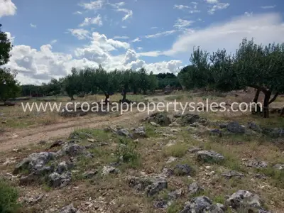 Agricultural land 13,860 m², Otok Brač - near the sea - 8
