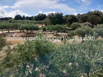 Agricultural land 13,860 m², Otok Brač - near the sea - 11