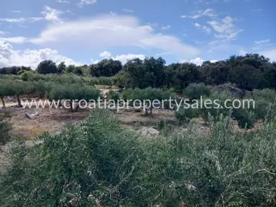 Agricultural land 13,860 m², Otok Brač - near the sea - 9