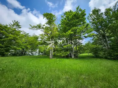 Građevinsko zemljište 3.309 m², Stari Laz - otvoren pogled - 6