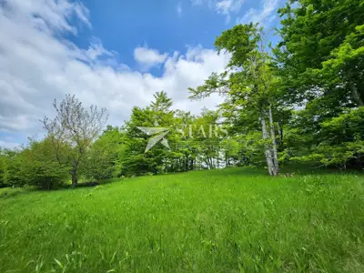 Građevinsko zemljište 3.309 m², Stari Laz - otvoren pogled - 7