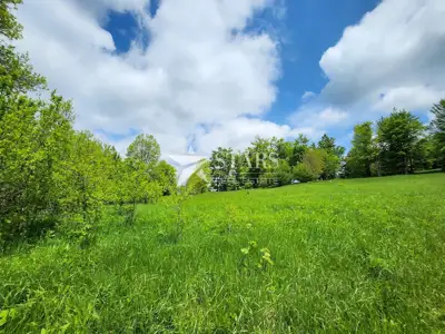 Građevinsko zemljište 3.309 m², Stari Laz - otvoren pogled - 4