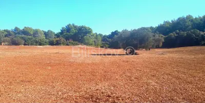 Building plot 8,400 m², Seget Donji - quiet location - 2