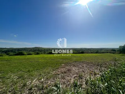 Građevinsko zemljište, Buje - pogled na more i maslinik - 3