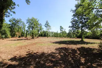 Barban, Umgebung, großzügiges Bauland - 7