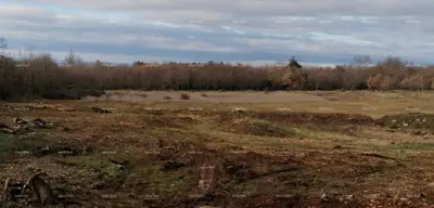 Građevinsko zemljište 15 360 m², Tar-Vabriga - stambena namjena