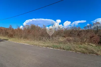 Land 4,984 m², Barban - by the road and electricity by the plot - 3