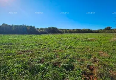 Landwirtschaftsfläche 40 000 m², Marčana, Istarska - 4