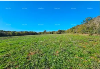 Poljoprivredno zemljište 40 000 m², Marčana, Istarska