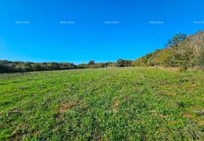 Landwirtschaftsfläche 40 000 m², Marčana, Istarska - 5