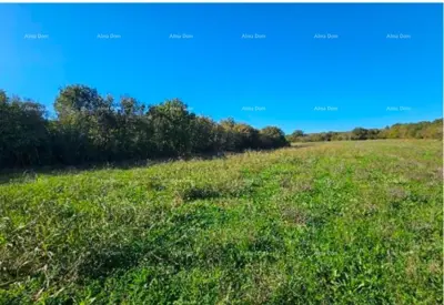 Landwirtschaftsfläche 40 000 m², Marčana, Istarska - 3