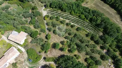 Building plot 2,250 m², Cerovlje - open view - 4