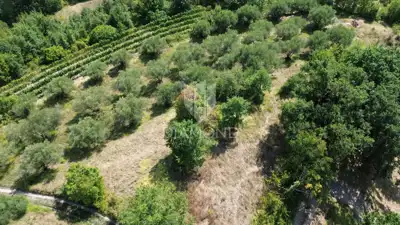 Building plot 2,250 m², Cerovlje - open view - 6