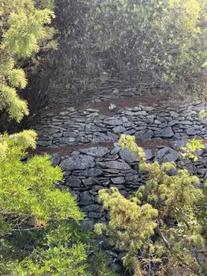 Agricultural land 15 169 m², Mirca - olive grove by dry-stone wall - 3
