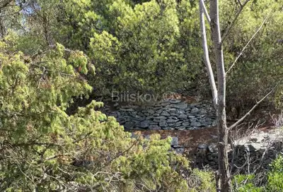 Agricultural land 15 169 m², Mirca - olive grove by dry-stone wall - 2