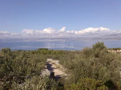 Agricultural land 15 169 m², Mirca - olive grove by dry-stone wall