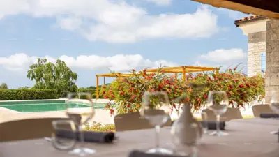 Hotel i Restoran. Blizina grada Pule. Veliki građevinski teren uz hotel, mogućnost gradnje vile. - 14