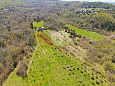 House 140 m², Labin - large plot and privacy - 6