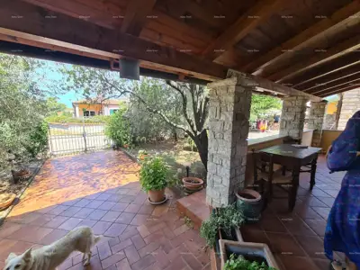 Steinhaus, Galižana, großes Grundstück mit Olivenbäumen - 6