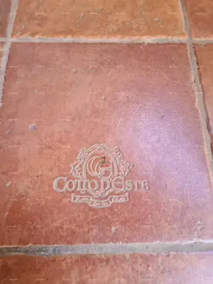 Steinhaus, Galižana, großes Grundstück mit Olivenbäumen - 4