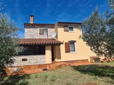 Steinhaus, Galižana, großes Grundstück mit Olivenbäumen - 2