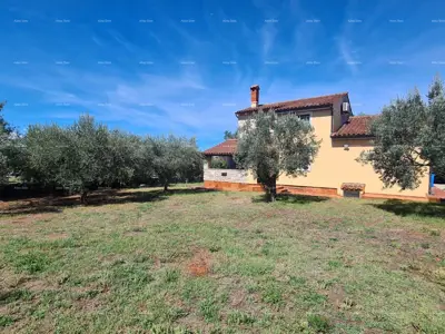 Steinhaus, Galižana, großes Grundstück mit Olivenbäumen