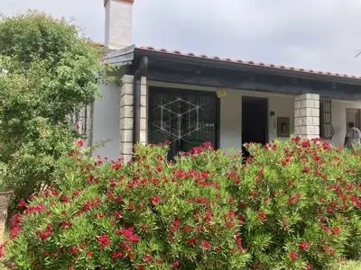 Kamena kuća 116 m², Rovinj, blizu mora i privatnost - 4