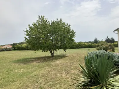 Kamena kuća 116 m², Rovinj, blizu mora i privatnost - 11