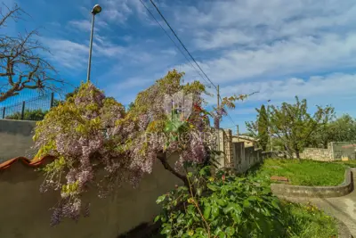 Brtonigla, samostojeća kuća s pogledom na more! - 17