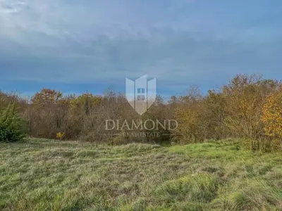 Land 2,941 m², Motovun area - investment - 4