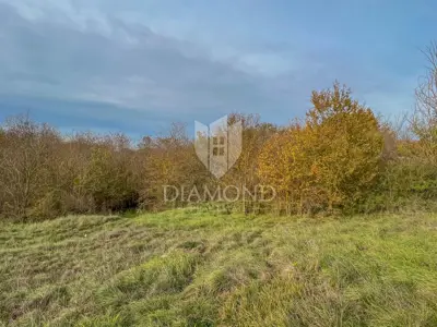 Land 2,941 m², Motovun area - investment - 3
