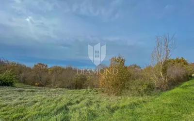 Zemljište 2.941 m², Motovun okolica - investicija