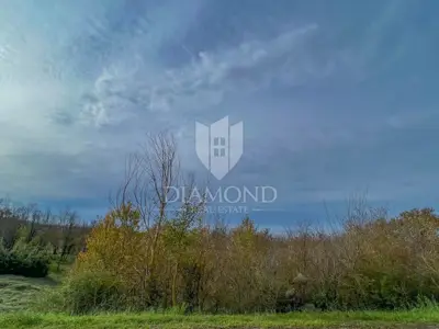 Land 2,941 m², Motovun area - investment - 2