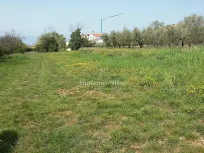 Land plot for sale in Tar - 2