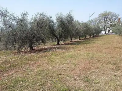 Land plot for sale in Tar - 11