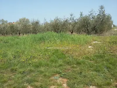 Land plot for sale in Tar - 6